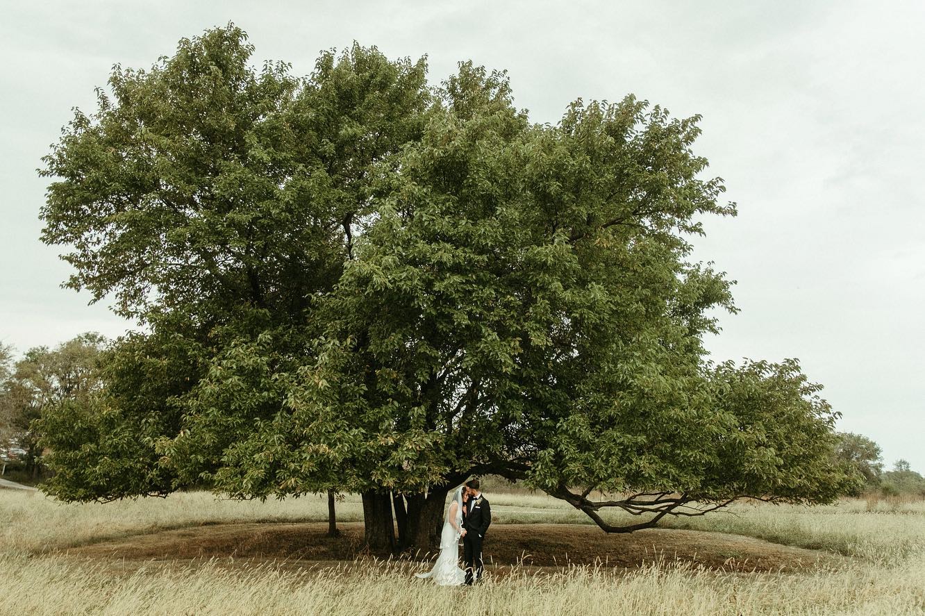 302132756_511834810942092_4431943006394517429_n